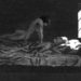 'My Dream, My Bad Dream' (1915). Afbeelding van een succubus-achtige verschijning. Credits: Fritz Schwimbeck.